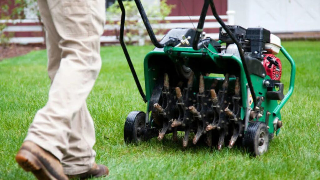 lawn aerator