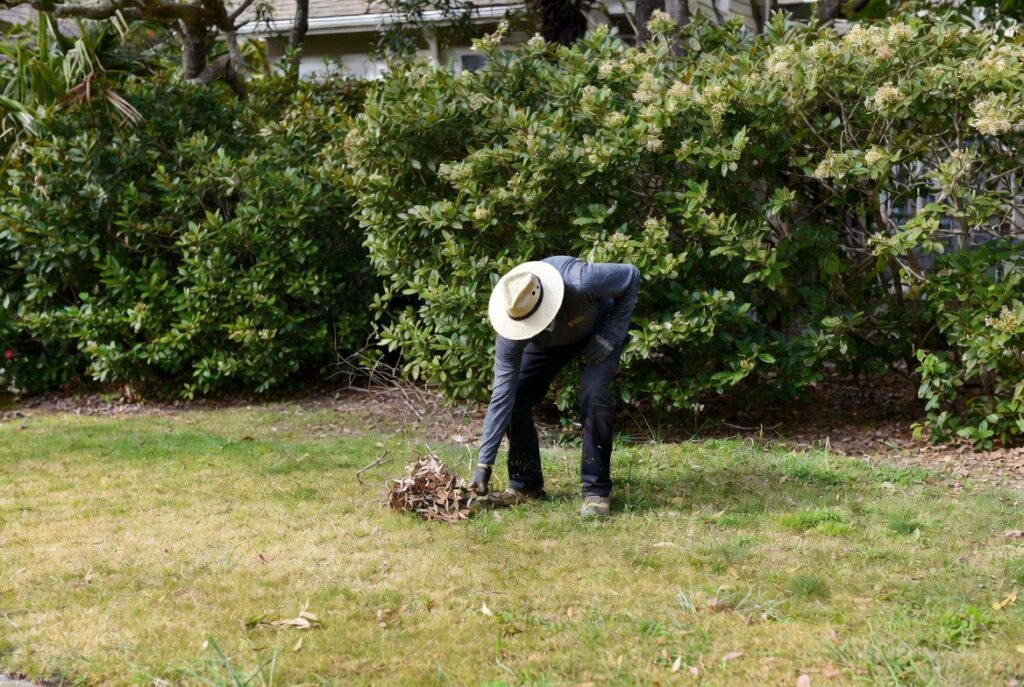 A landscaper maintains a spring lawn in a coastal Carolina yard