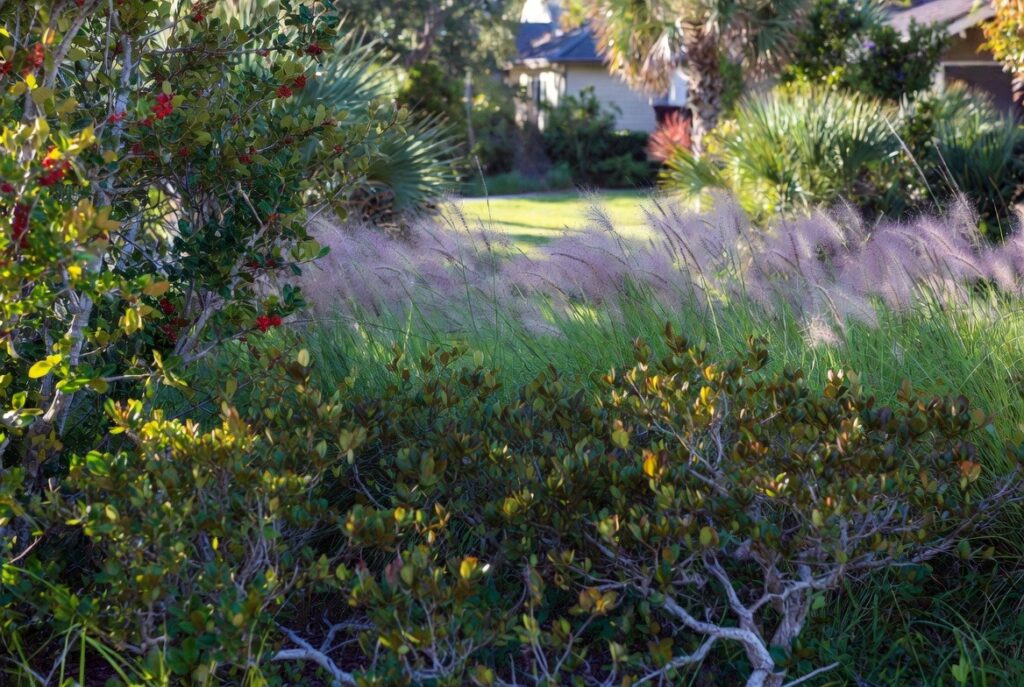 Layered windbreak planting